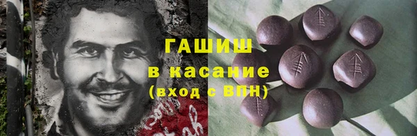 индика Саяногорск
