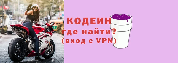 индика Саяногорск
