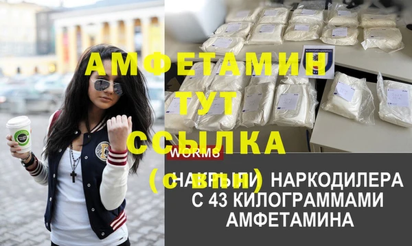индика Саяногорск