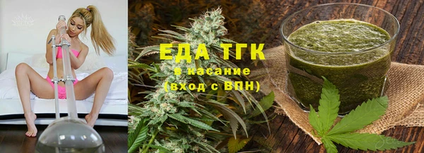 индика Саяногорск