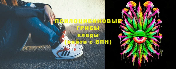 spice Сатка