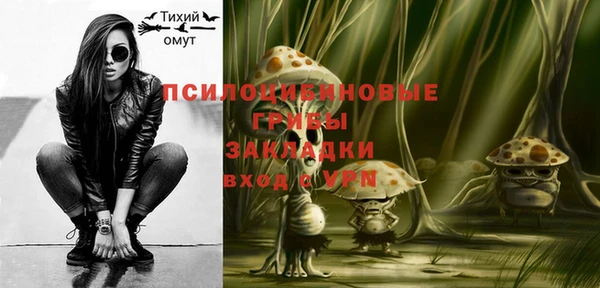 индика Саяногорск