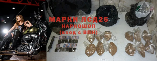 индика Саяногорск