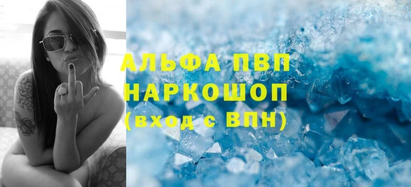 индика Саяногорск