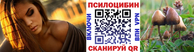 Псилоцибиновые грибы Magic Shrooms  Камызяк 