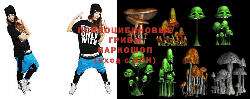 Галлюциногенные грибы Magic Shrooms  дарк нет как зайти  Камызяк 